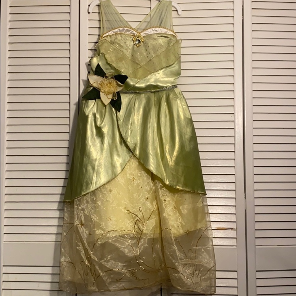 Disney’s Tiana Dress Up Gown